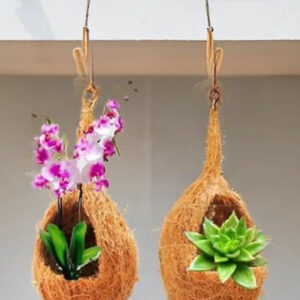 Cocount Shell Hanging Planters 16 inch Pack of 5